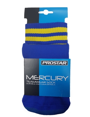 Essendene Lodge Games Socks (Years 3 - 6)